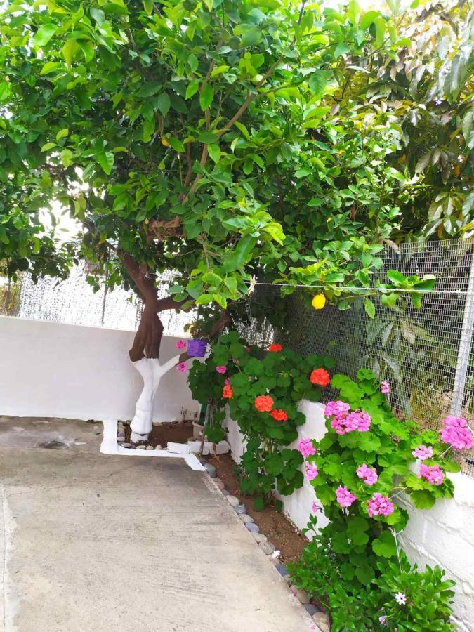 Meimetis Green House Neápolis Kültér fotó